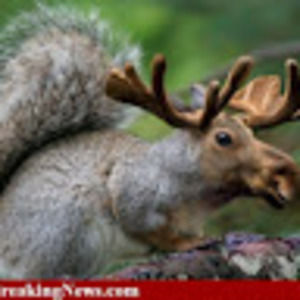 Meet your Posher, Gavin